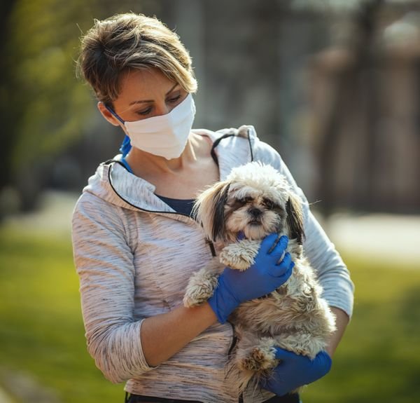 Cómo proteger a tu mascota durante un sismo: consejos prácticos